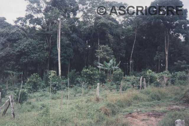 Shelters - Homes of Restoration Program